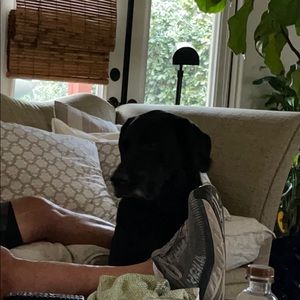 Meet your Posher, Laurie